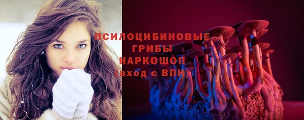 крисы Гатчина