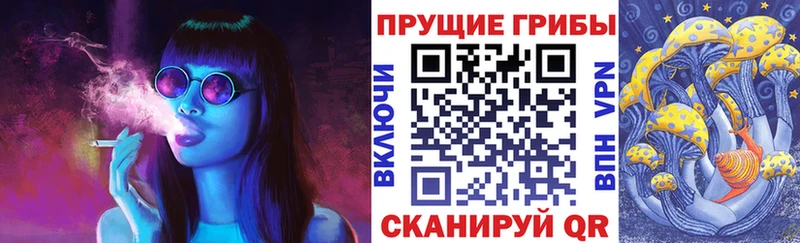 дарнет шоп  Котельнич  Галлюциногенные грибы ЛСД 